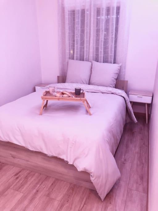 Superbe Appartement Tout Equipe, Le Nid D'Eva A Metz Gare, Parking Prive, Balcon, F2, 50M2, 3P Exteriör bild